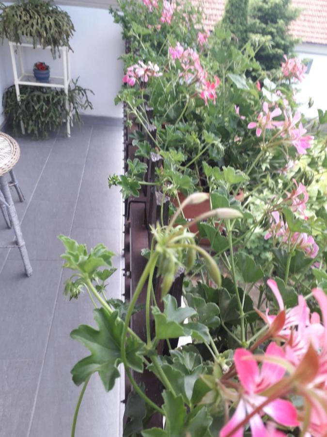Apartmán Nagy Haz Szabadkígyós Exteriér fotografie